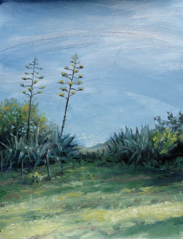 Oil painting of agave aloes