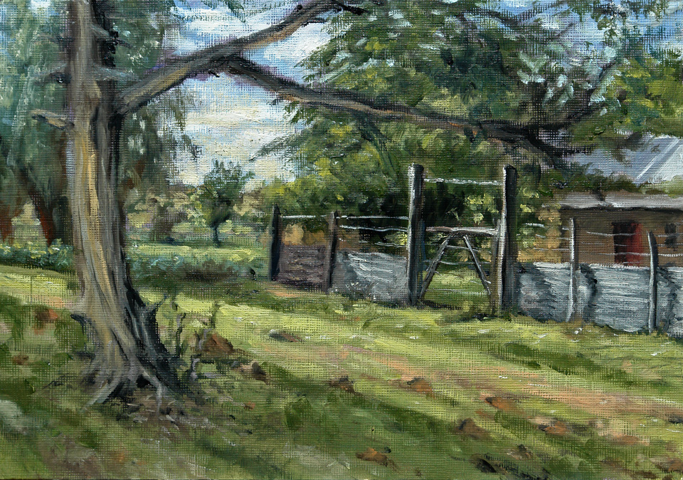 Plein Air oil painting of an old cyprus tree and farmyard gate.