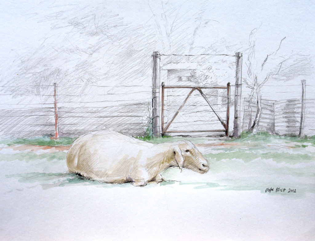 Sketch of a sheep lying down with a gate and building in the background.