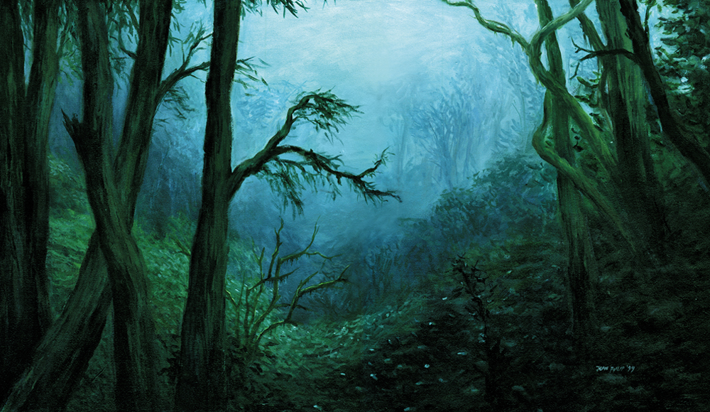 Lush green misty jungle scene