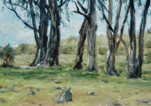 Oil painting of some gum trees