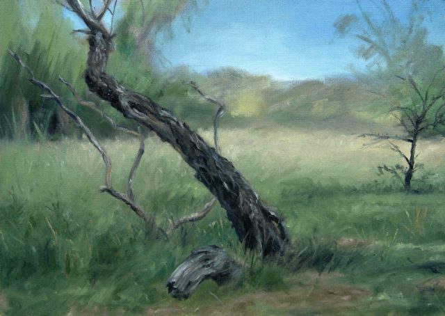Plein Air painting of a dead tree stump of willow