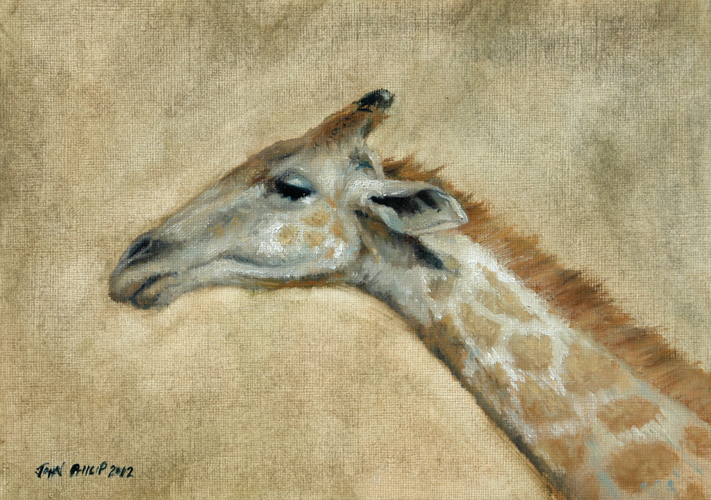Oil on canvas paper of a Giraffe head