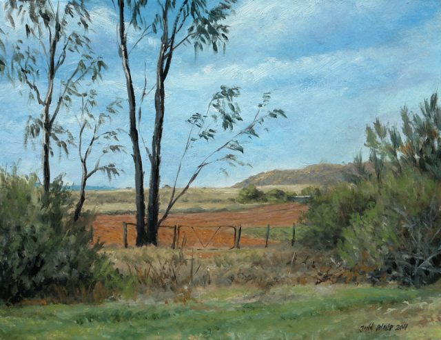 Oil Painting of empty land, gate, and bluegums - young Eucalyptus trees