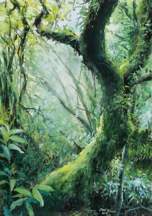 Guache painting of a Forest in the Buffelskloof Nature Reserve