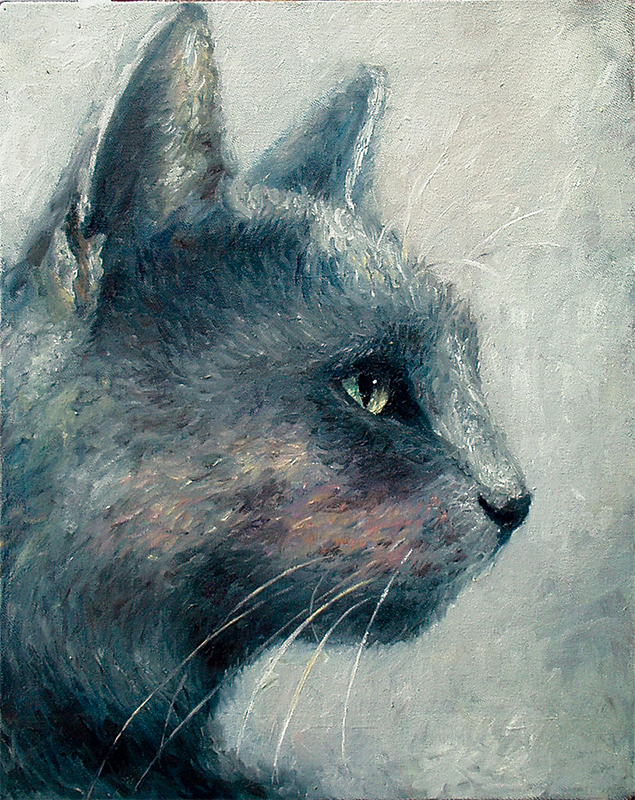 A grey domestic cat.