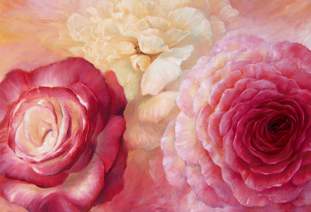 Flowers - Close up of red, pink and white roses with rich warm colourful background.