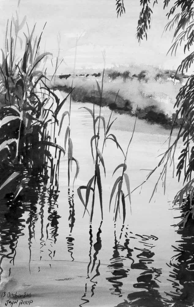 River with reeds done in Ink