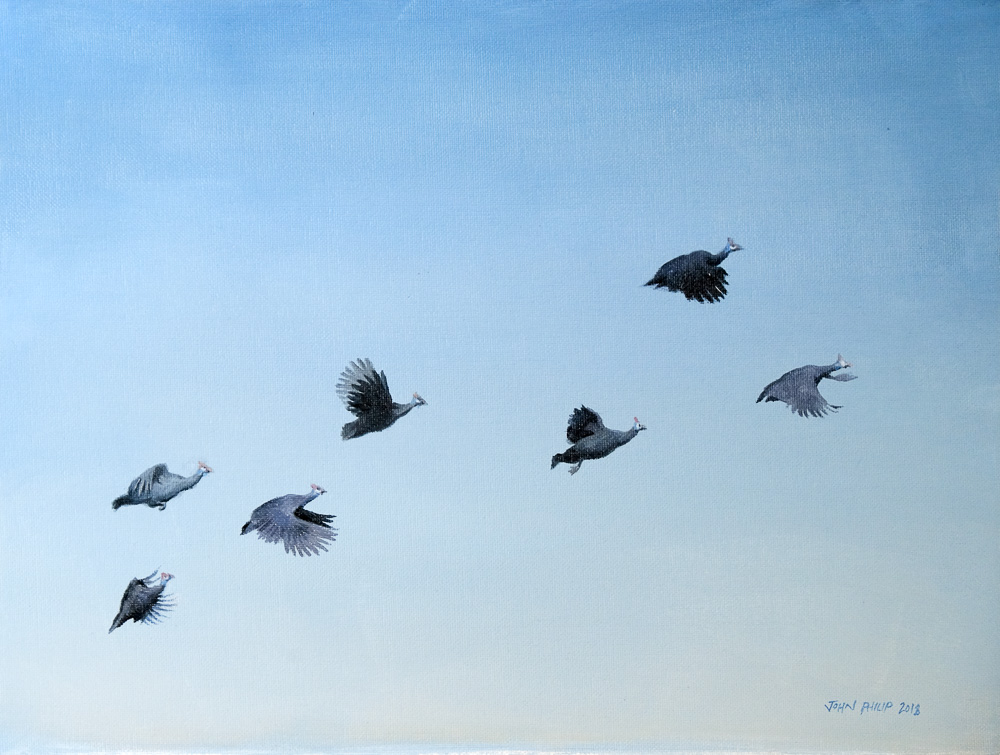 Oil Painting of a flock of Guinea fowl flighing