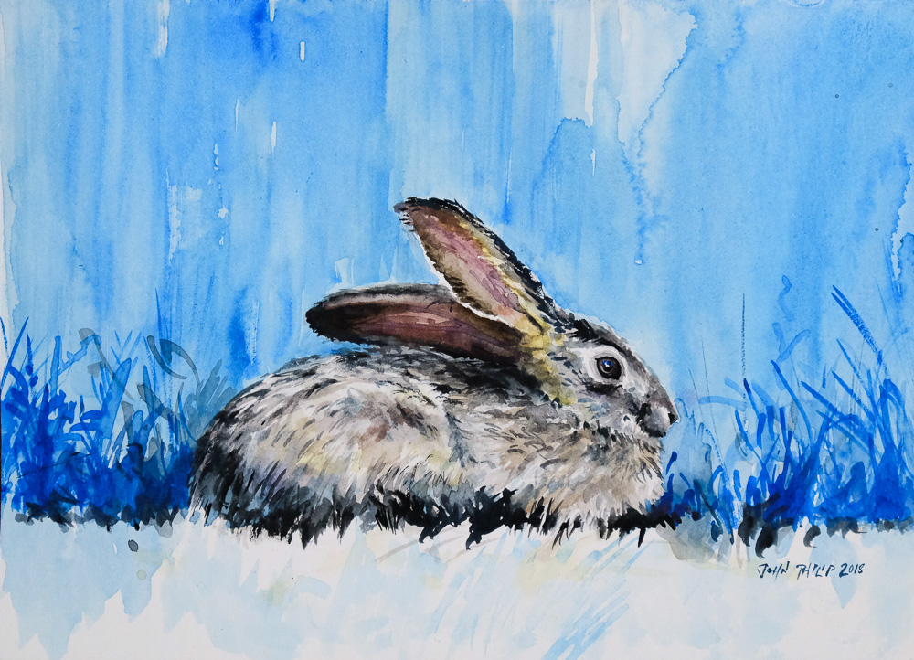 Water colour painting of a cape hare in blue