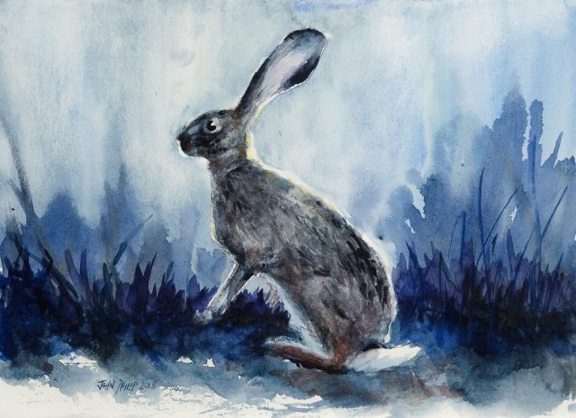 Water colour painting of a cape hare in indigo