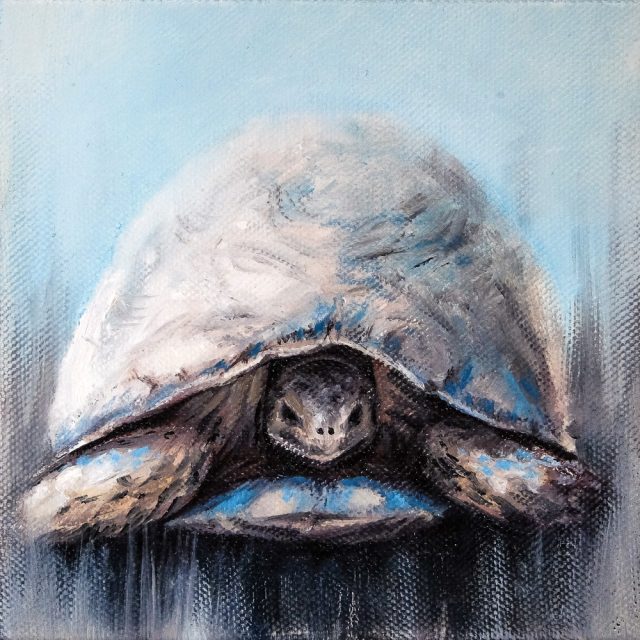 Oil Painting of a Blue Tortoise