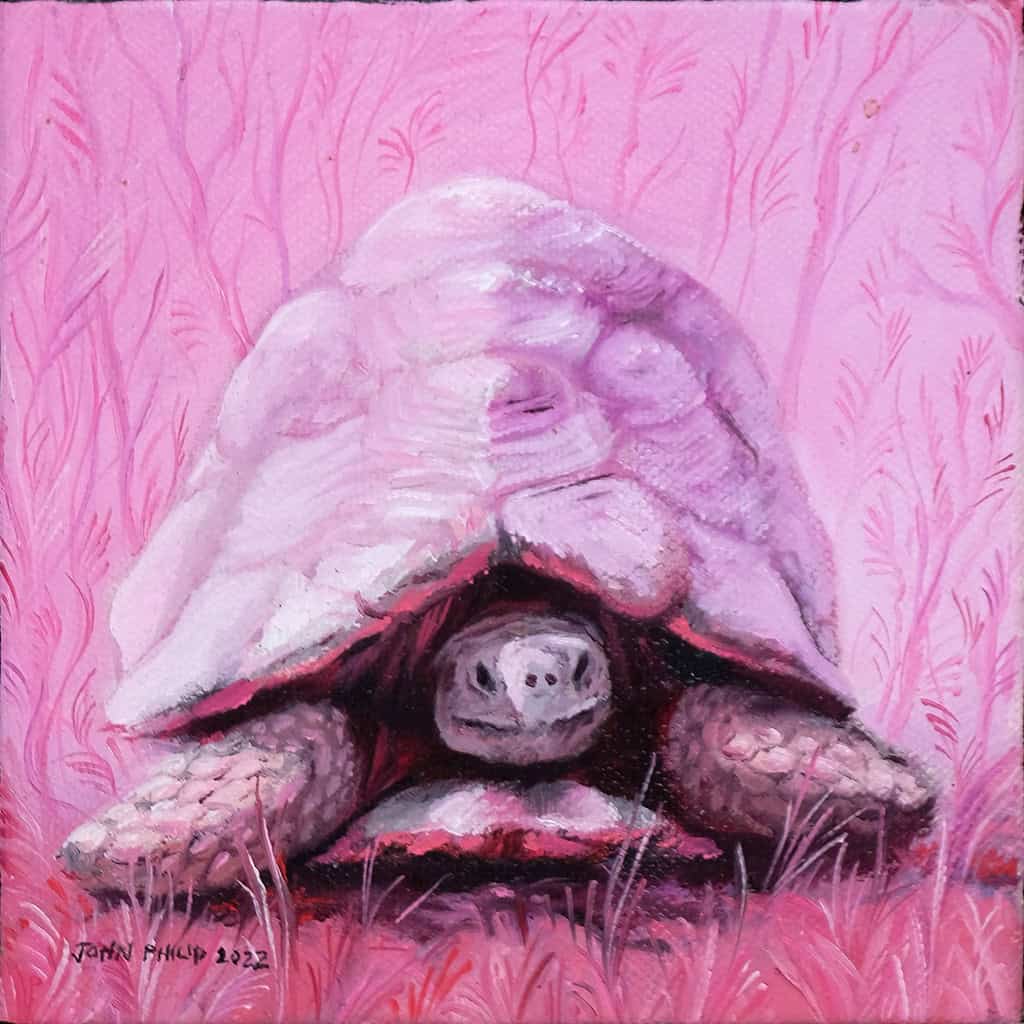 Oil Painting of a Pink Tortoise