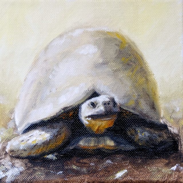 Oil Painting of a Yellow Tortoise