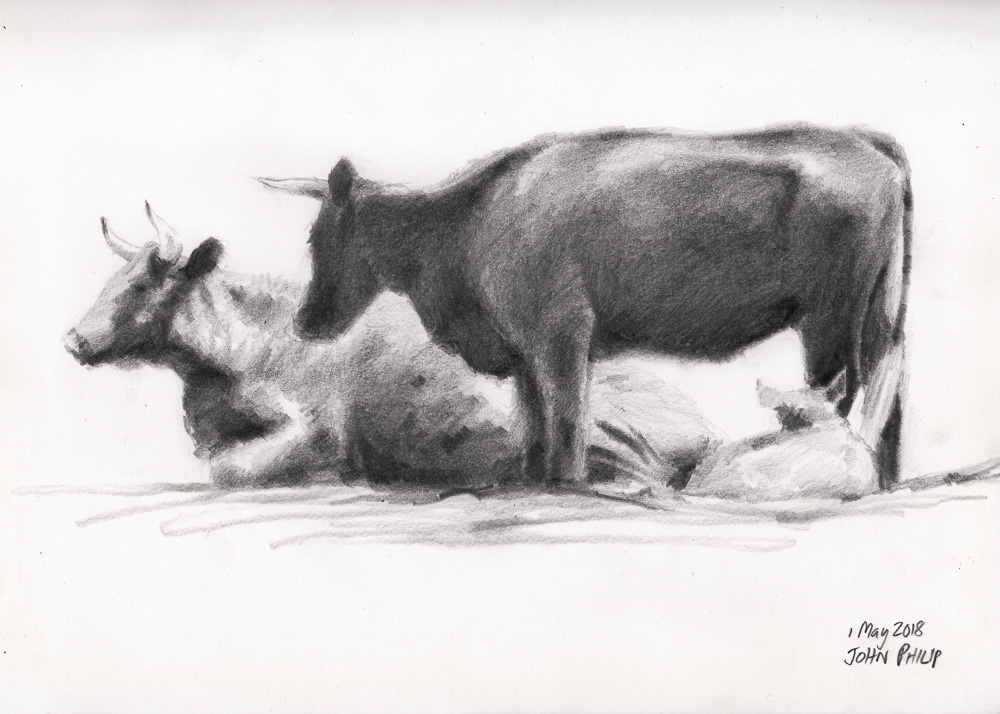 Drawing of some Cows