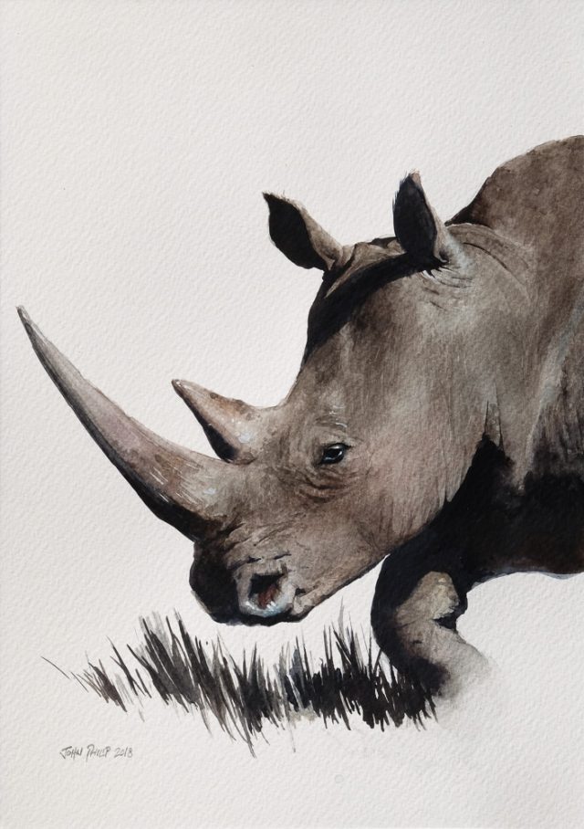 Watercolor painting of a Rhino