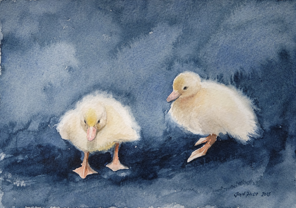 Painting of two young ducklings