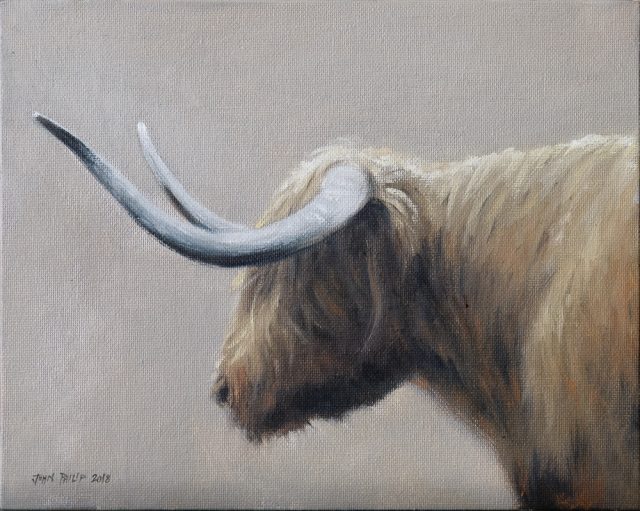 Oil Painting of a Cow from Scotland
