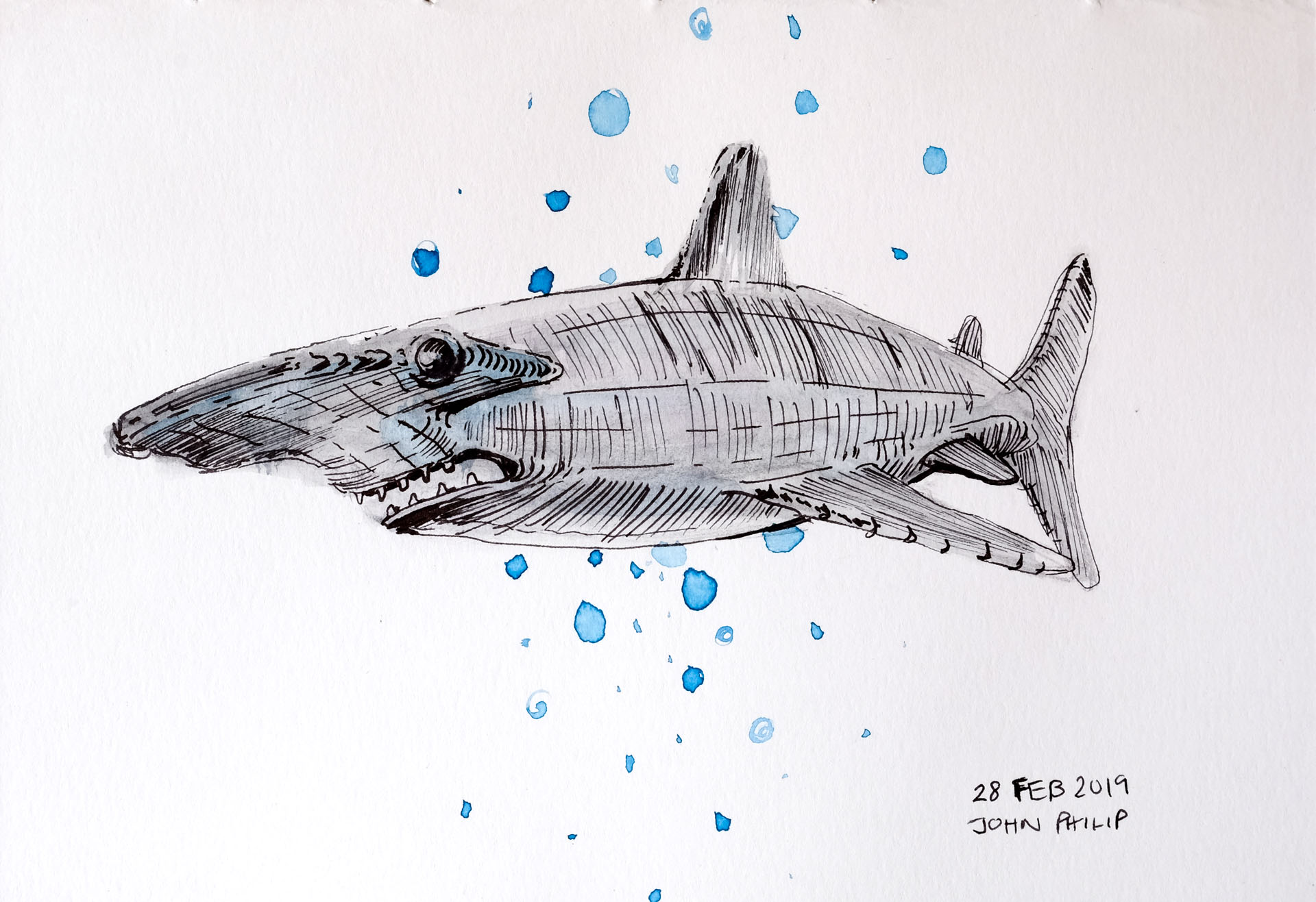 Wire Hammerhead Shark – John Philip