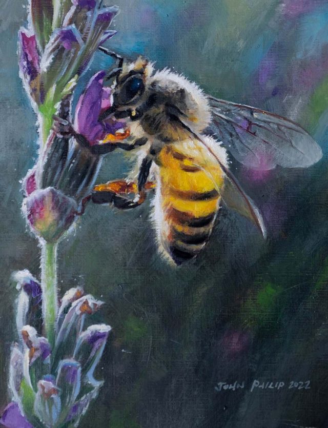 Oil Painting of a Honeybee on some Purple Lavender