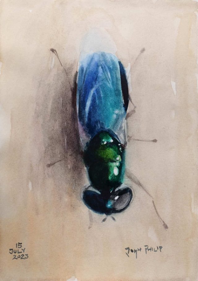 Painting of a Green Soldier Fly