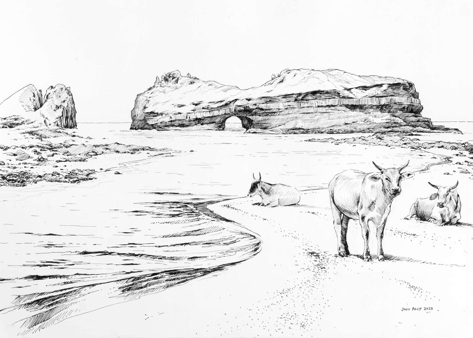 Ink drawing of the Hole in the Wall at Coffee Bay