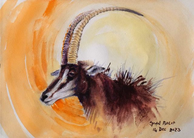 Painting of a Sable antelope