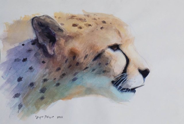 Watercolour painting of a Cheetah