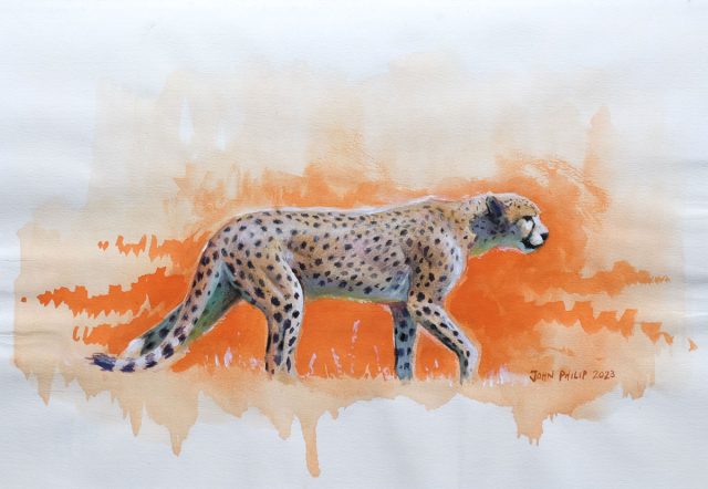 Drawing of a cheetah on an orange background.
