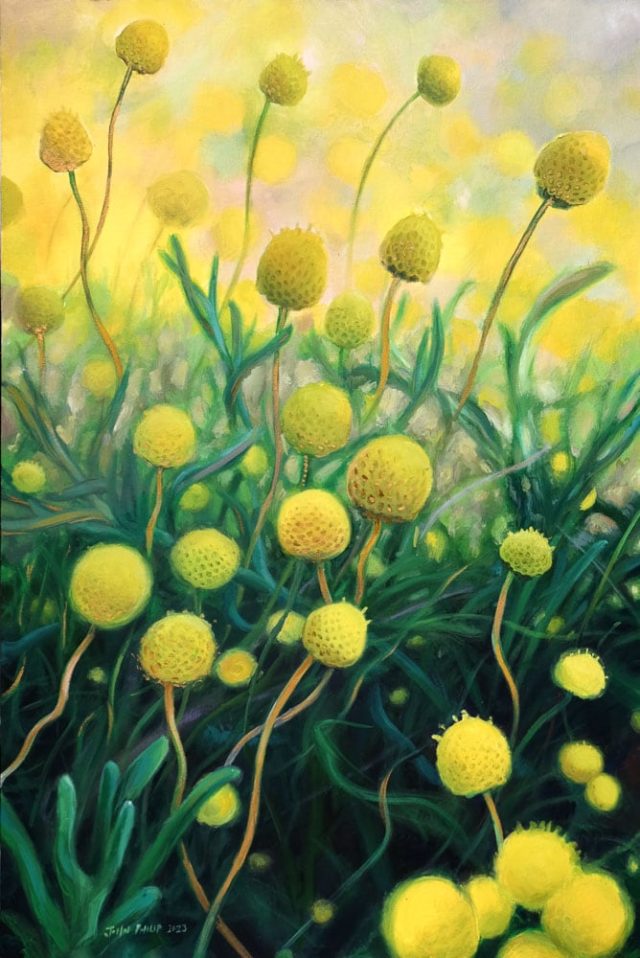 Creative painting of namaqualand flowers