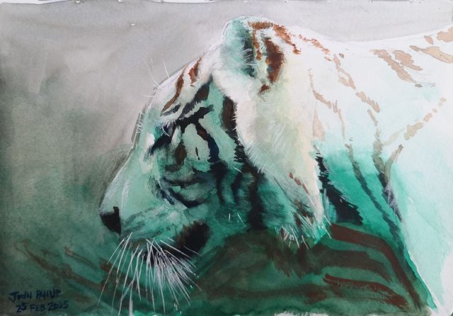 Watercolour painting of a White Tiger and lots of greens