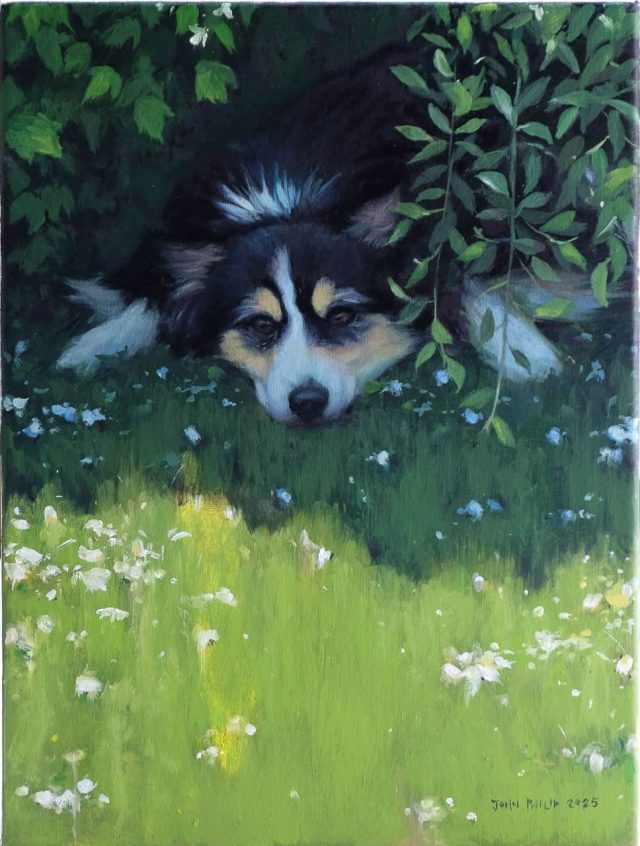 Oil painting of a pet dog on the grass with it's head peeping out of the plants.